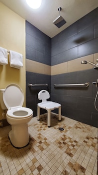 Room, 1 King Bed, Accessible, Non Smoking