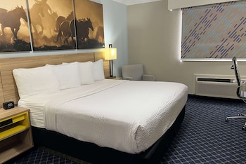 Room, 1 King Bed, Accessible, Non Smoking (Roll-In Shower)