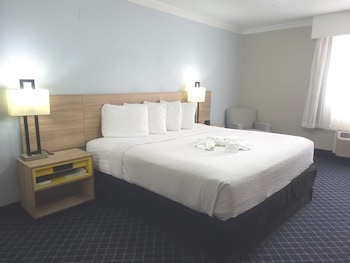Room, 1 King Bed, Accessible, Non Smoking (Roll-In Shower)