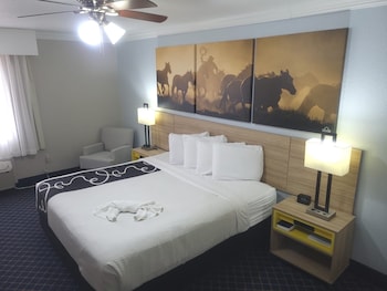 Room, 1 King Bed, Non Smoking