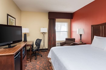 Room, 1 King Bed, Accessible, Non Smoking