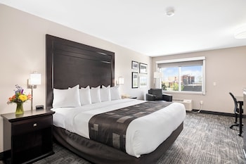 Standard Room, 1 King Bed (King)