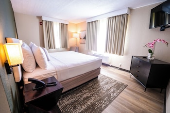 Family Studio Suite