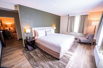 Family Studio Suite