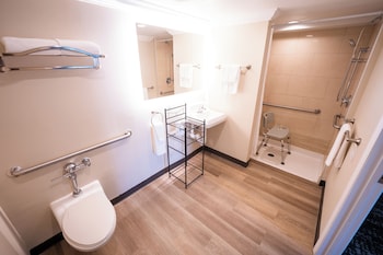 Cozy King Roll-In Shower