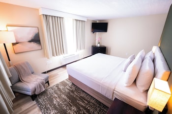 Family Studio Suite