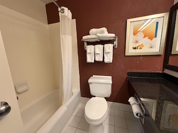 Standard Room, 1 King Bed, Non Smoking, Refrigerator & Microwave