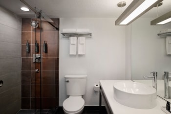 Room, 1 King Bed