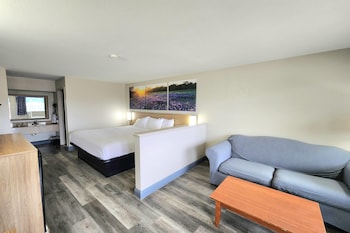 Studio Suite, 1 King Bed, Smoking