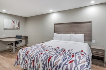Superior Room, 1 King Bed, Non Smoking