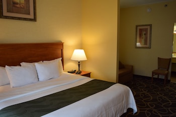Suite, 1 King Bed with Sofa bed, Non Smoking