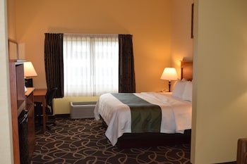 Suite, 1 King Bed with Sofa bed, Non Smoking