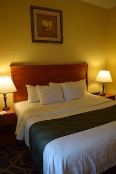 Standard Room, 1 Queen Bed, Accessible, Non Smoking