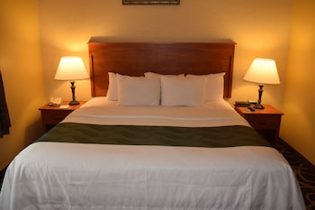 Standard Room, 1 Queen Bed, Accessible, Non Smoking