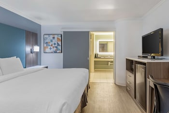 Standard Room, 1 King Bed, Accessible, Refrigerator & Microwave