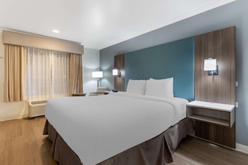 Standard Room, 1 King Bed, Accessible, Refrigerator & Microwave