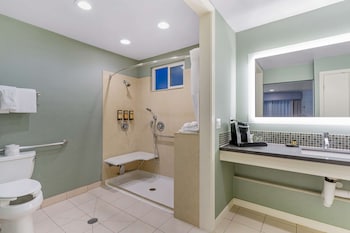 Standard Room, 1 King Bed, Accessible, Refrigerator & Microwave