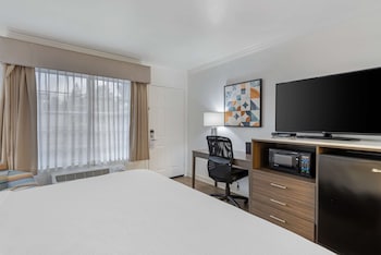 Standard Room, 1 King Bed, Non Smoking, Refrigerator & Microwave