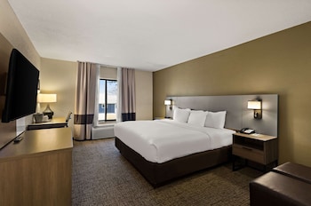 Standard Room, 1 King Bed, Non Smoking