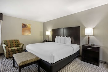 Suite, 1 King Bed, Non Smoking, Refrigerator & Microwave