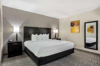 Standard Room, 1 King Bed, Non Smoking, Refrigerator & Microwave