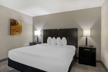 Standard Room, 1 King Bed, Non Smoking, Refrigerator & Microwave