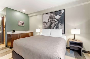 Room, 1 Queen Bed, Non Smoking