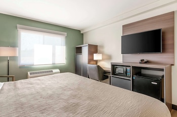 Standard Room, 1 King Bed, Non Smoking