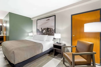Room, 1 King Bed, Accessible, Non Smoking