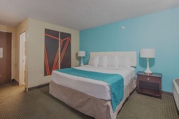 Comfort Single Room