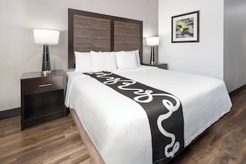 Room, 1 King Bed, Accessible, Non Smoking