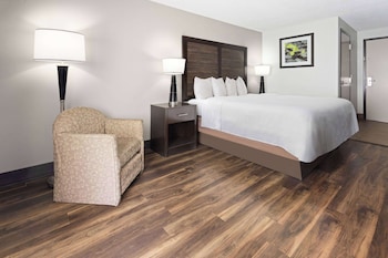 Room, 1 King Bed, Non Smoking