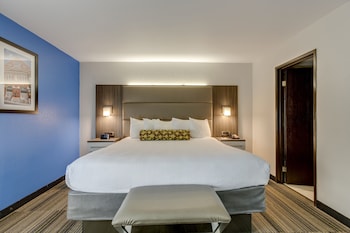 Standard Room, 1 King Bed, Accessible