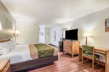 Standard Room, 1 King Bed, Non Smoking