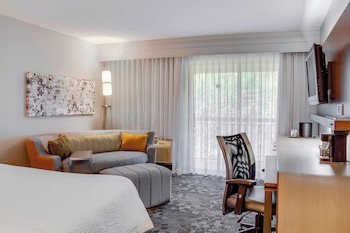 Room, 1 King Bed with Sofa bed