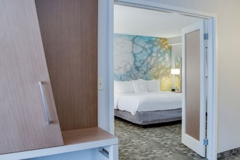 Suite, 1 King Bed with Sofa bed