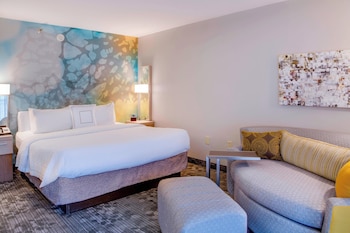 Room, 1 King Bed with Sofa bed