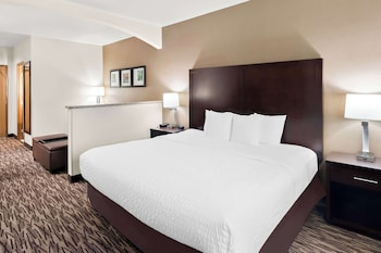 Comfort Room, 1 King Bed, Non Smoking