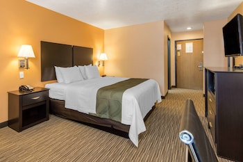 Room, 1 King Bed, Non Smoking