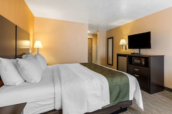 Room, 1 King Bed, Non Smoking