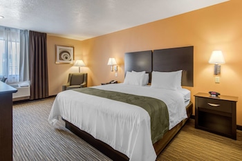 Room, 1 King Bed, Non Smoking