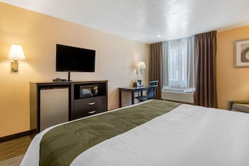 Room, 1 King Bed, Non Smoking
