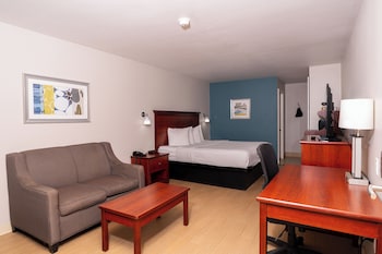 Standard Room, 1 King Bed, Accessible, Bathtub
