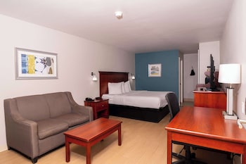 Standard Room, 1 King Bed, Accessible, Bathtub