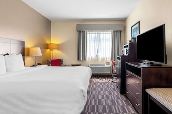 Standard Room, 1 Queen Bed, Accessible, Refrigerator & Microwave