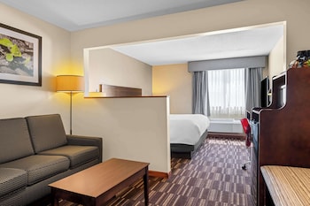 Standard Room, 1 King Bed, Non Smoking, Refrigerator & Microwave