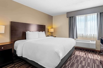 Standard Room, 1 King Bed, Non Smoking, Refrigerator & Microwave