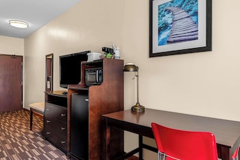 Standard Room, 1 King Bed, Non Smoking, Refrigerator & Microwave