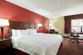 Room, 1 King Bed, Accessible