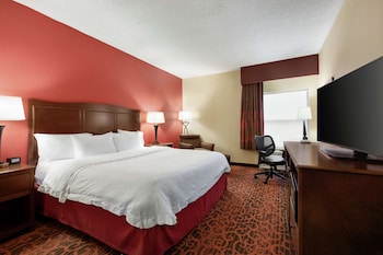 Room, 1 King Bed, Accessible, Non Smoking